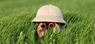 Boy in the grass